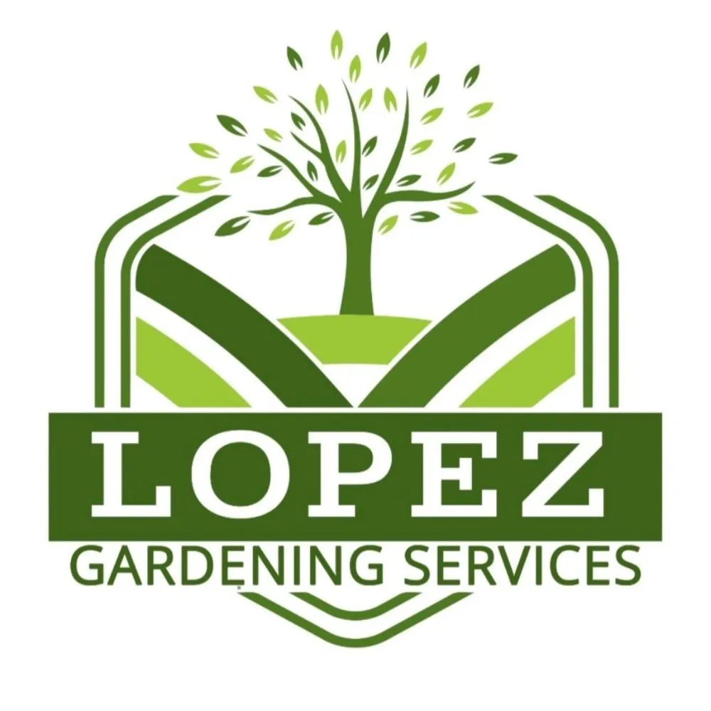 Affordable landscaping services for year-round maintenance in Whittier, CA by Lopez Gardening Services