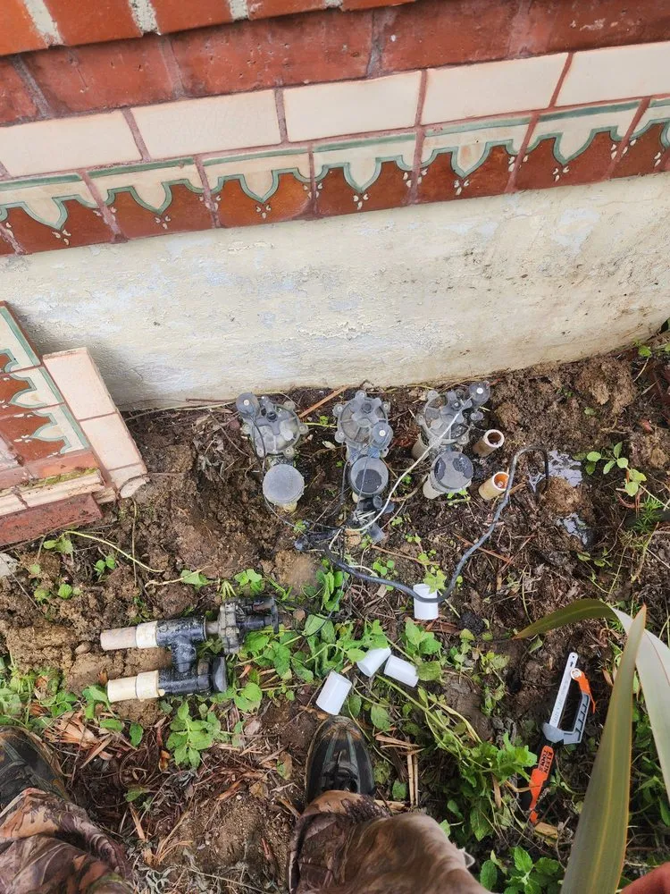 Local landscape design in Whittier, CA by Lopez Gardening Services