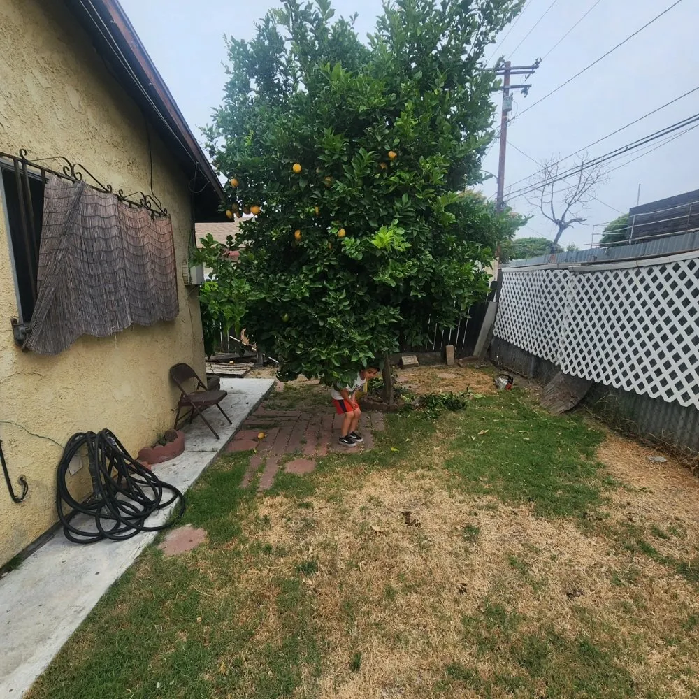Expert yard maintenance experts serving Whittier, CA - Lopez Gardening Services