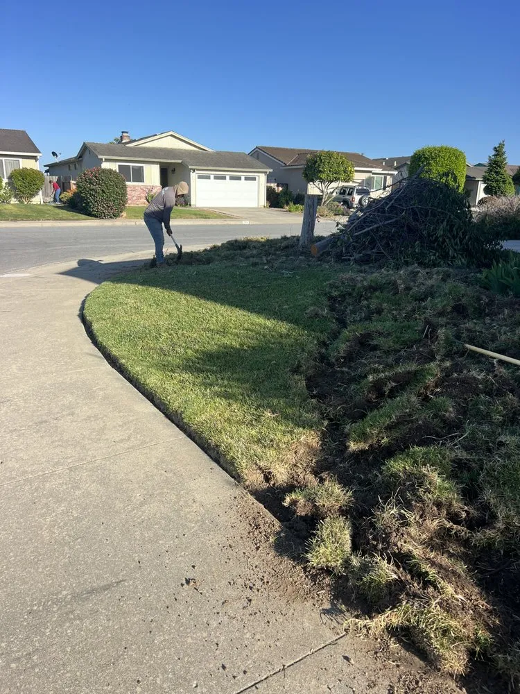 Trusted yard maintenance in Watsonville, CA by Lopez Gardening