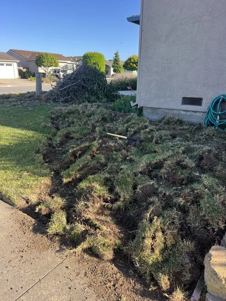 Local residential landscaping for homes in Watsonville, CA by Lopez Gardening