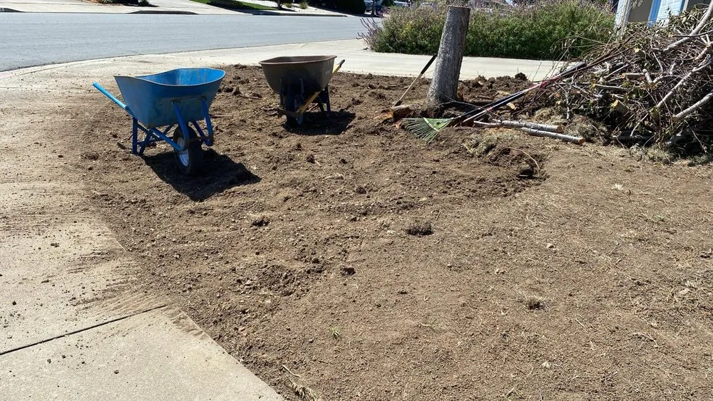 Expert residential landscaping with custom design across Watsonville, CA - Lopez Gardening