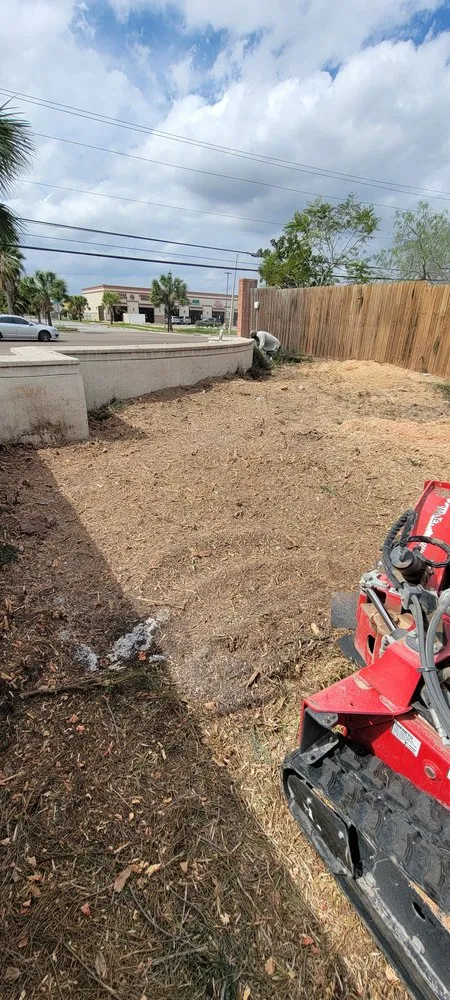 Affordable landscape installation in Brownsville, TX - Lopez Green Tree And Palms Services