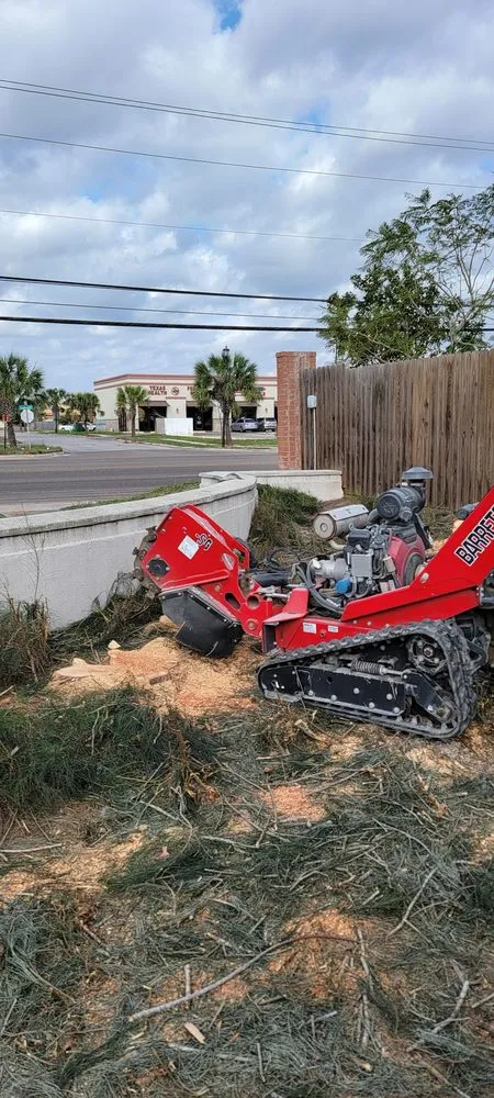 Local lawn mowing service experts serving Brownsville, TX - Lopez Green Tree And Palms Services