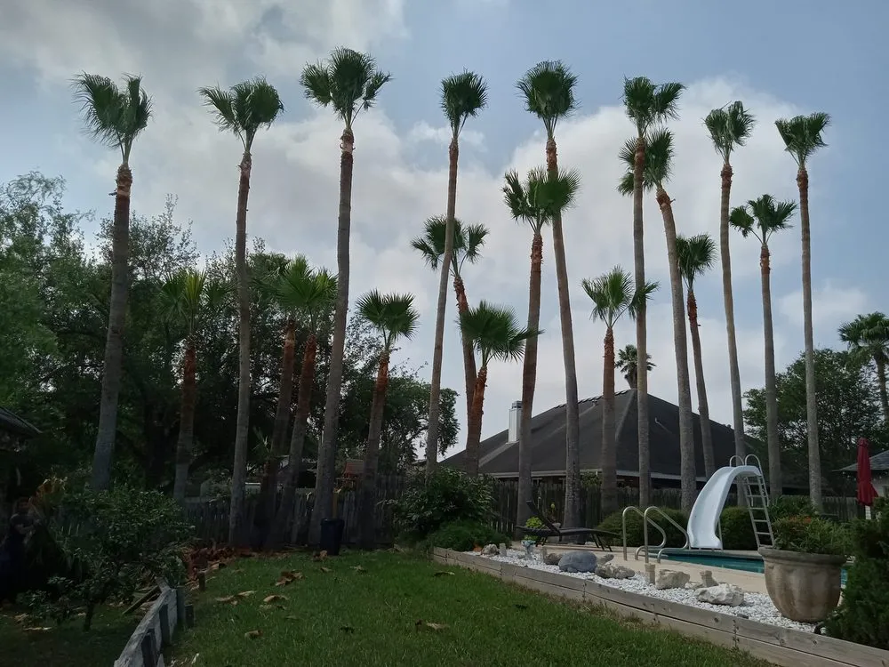 Trusted landscape design near you across Brownsville, TX - Lopez Green Tree And Palms Services