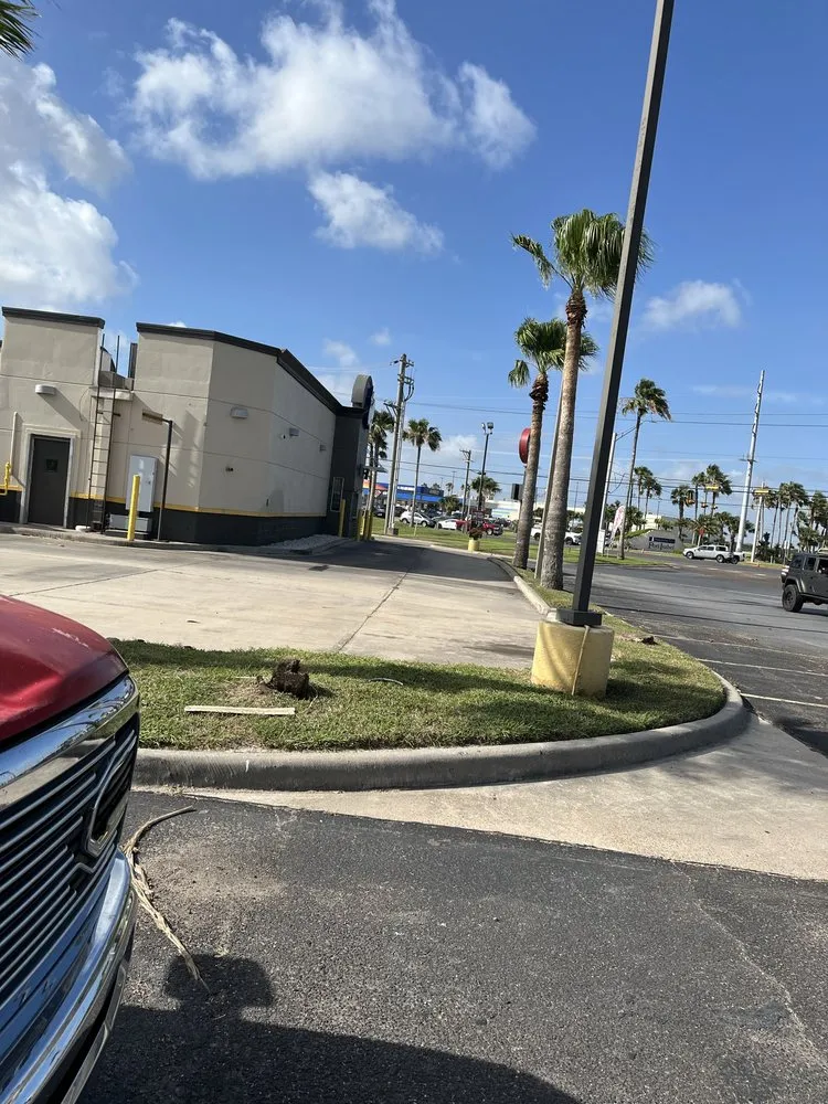 Trusted yard cleanup service near you across Brownsville, TX - Lopez Green Tree And Palms Services