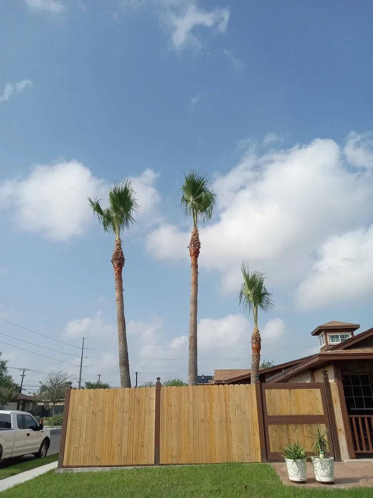 Expert landscape design for residential properties across Brownsville, TX - Lopez Green Tree And Palms Services