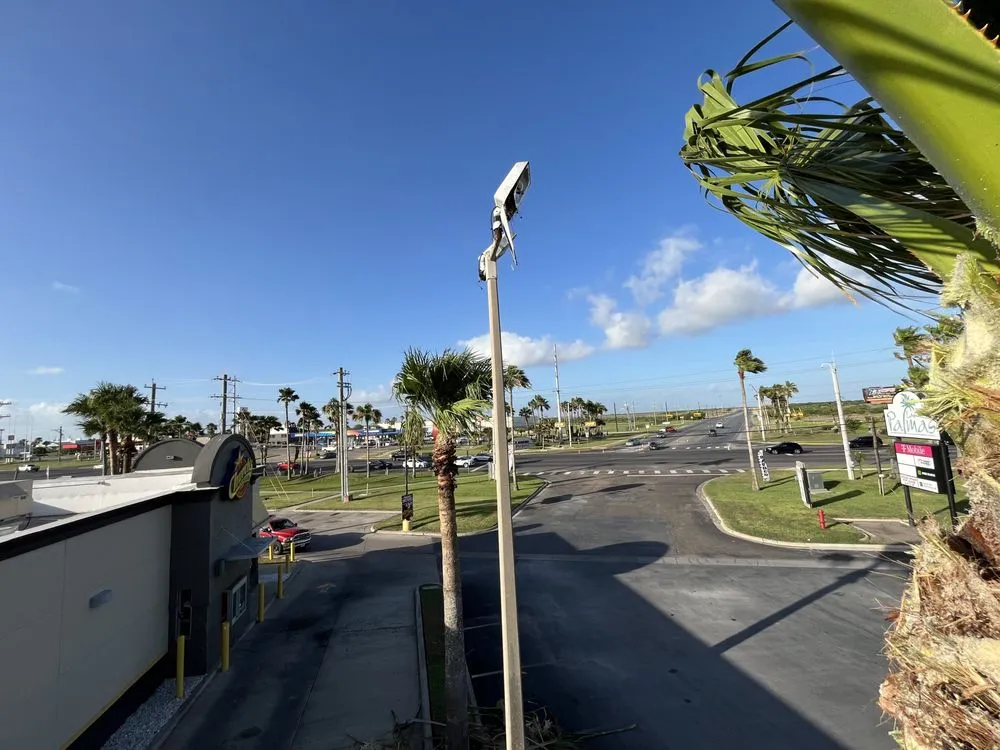 Professional yard cleanup service for year-round maintenance in Brownsville, TX by Lopez Green Tree And Palms Services