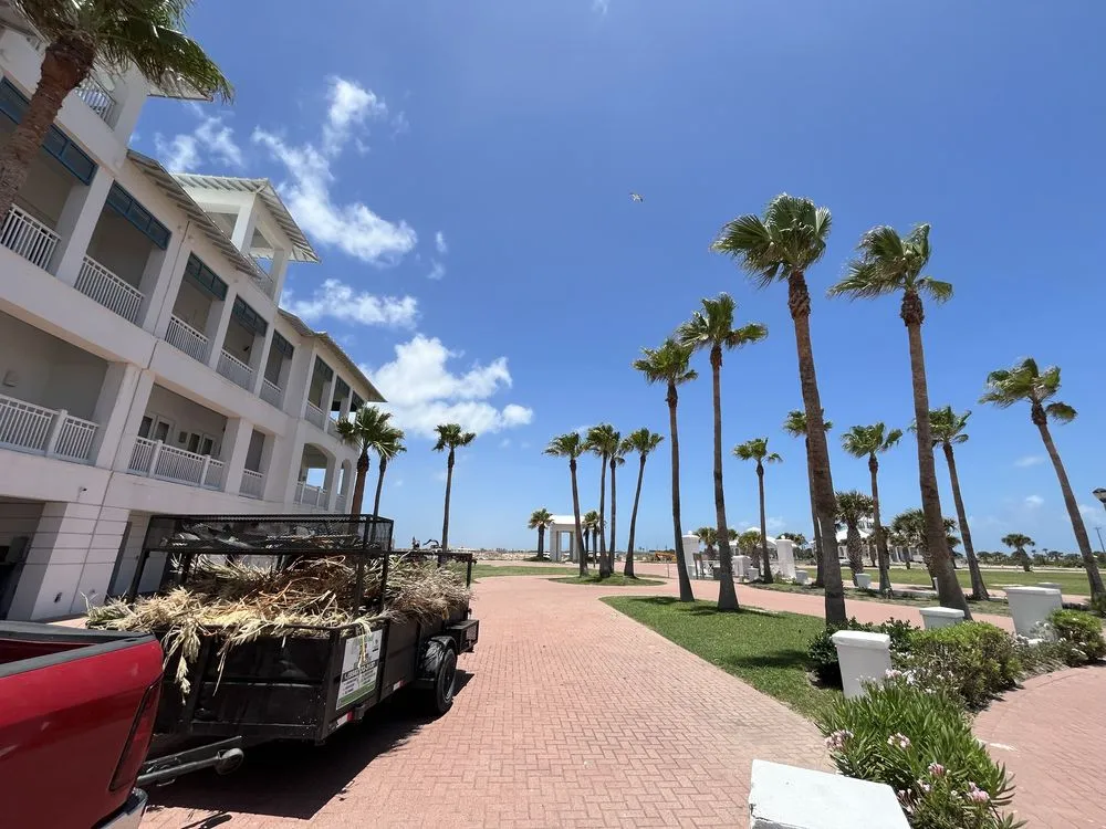 Professional landscape design in Brownsville, TX by Lopez Green Tree And Palms Services