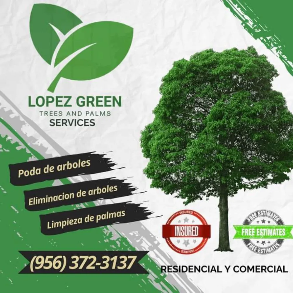 Trusted lawn care service in Brownsville, TX by Lopez Green Tree And Palms Services
