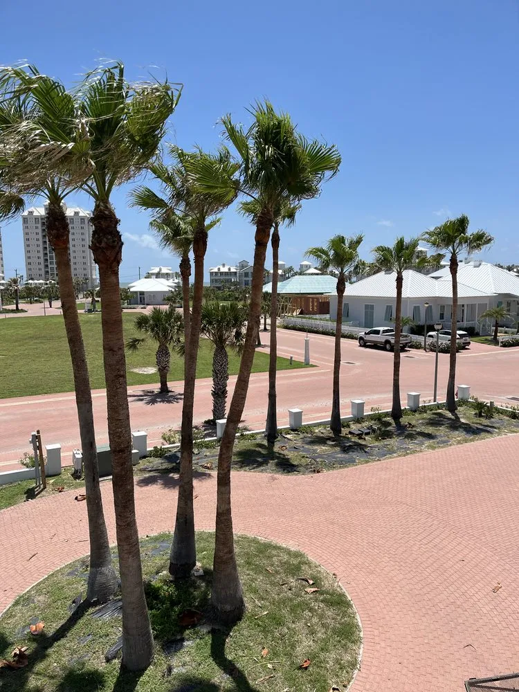 Local lawn mowing service in Brownsville, TX by Lopez Green Tree And Palms Services