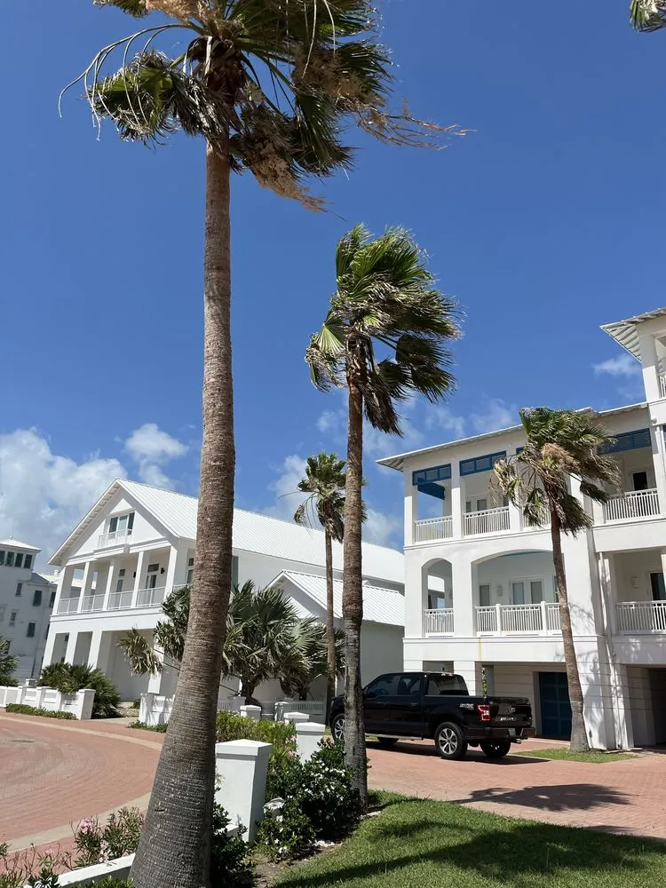 Expert landscape design for beautiful yards in Brownsville, TX by Lopez Green Tree And Palms Services