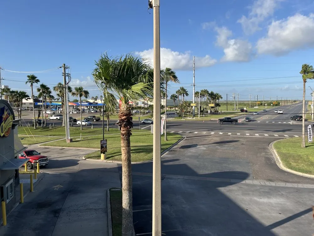 Affordable outdoor landscaping in Brownsville, TX by Lopez Green Tree And Palms Services