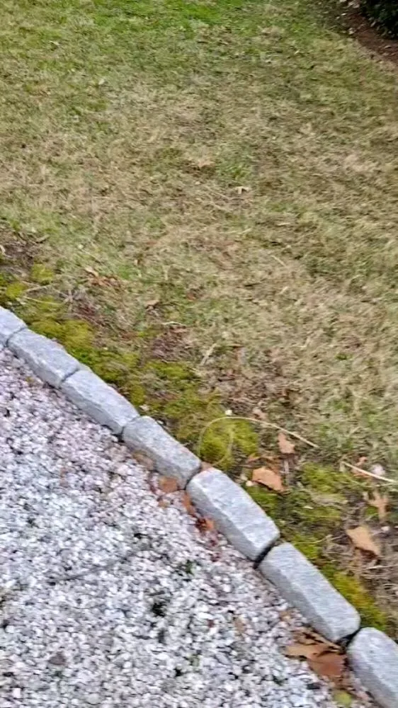 Affordable lawn care service for residential properties in Preston, MD by Lopez Landcare