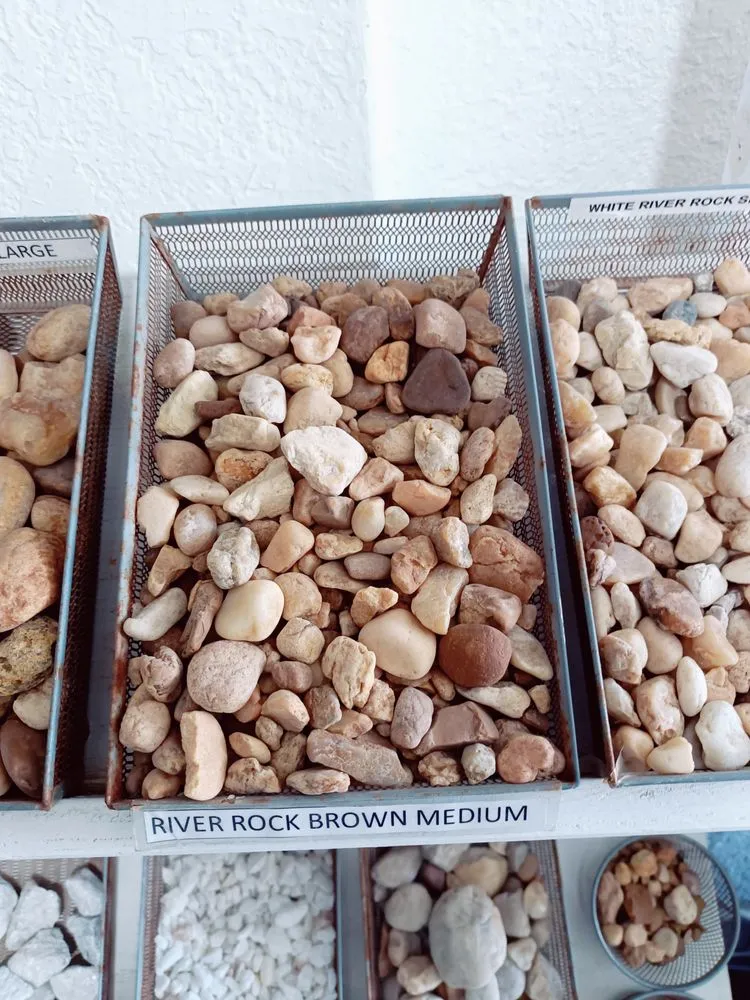 Trusted yard cleanup service for beautiful yards across Hallandale Beach, FL - Lopez Landescaping