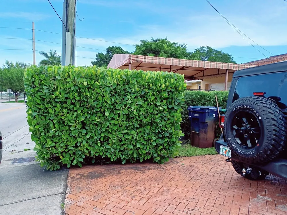 Professional landscaping services for residential properties in Hallandale Beach, FL by Lopez Landescaping