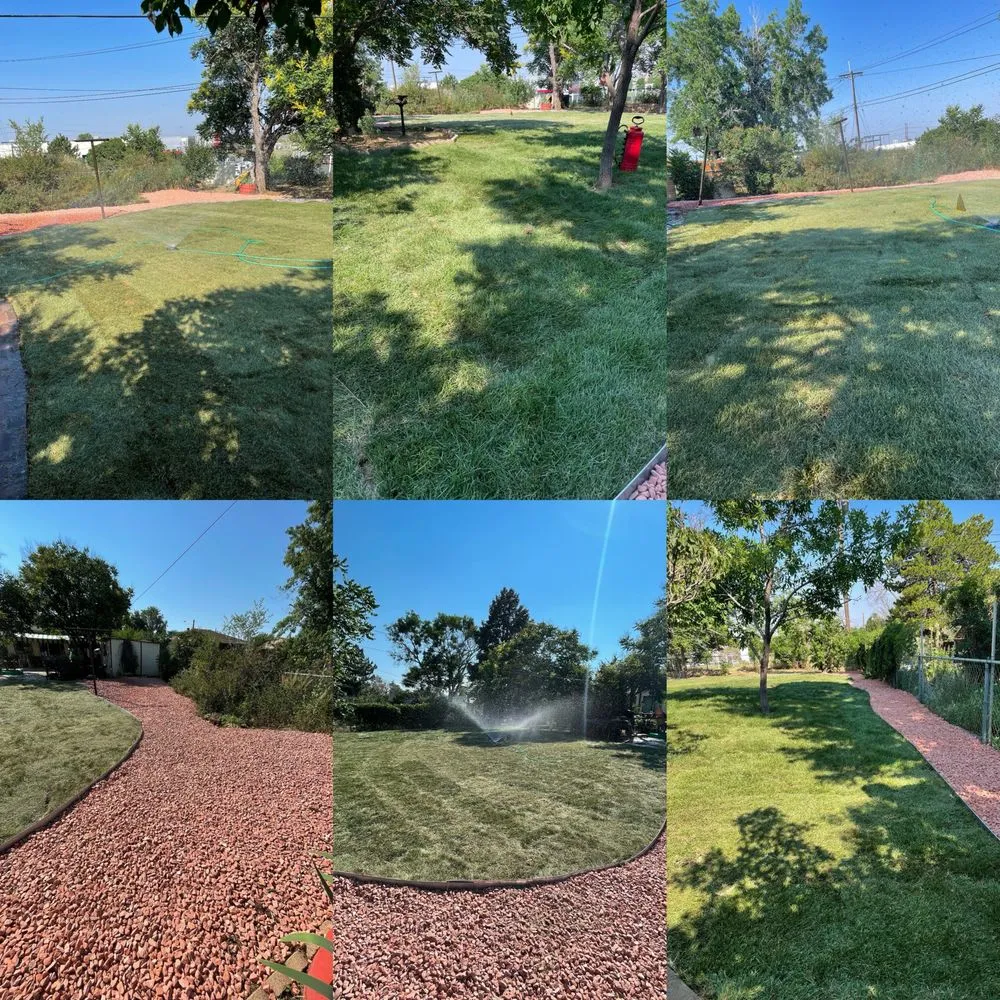 Top-rated yard cleanup service for outdoor upgrades across Denver, CO - Lopez Landscape & Concrete