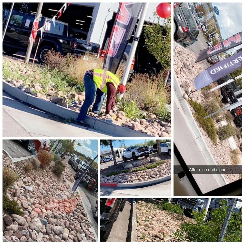 Expert landscape design near you in Denver, CO by Lopez Landscape & Concrete