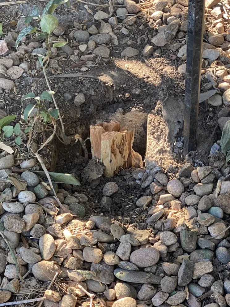 Expert outdoor landscaping in Denver, CO - Lopez Landscape & Concrete