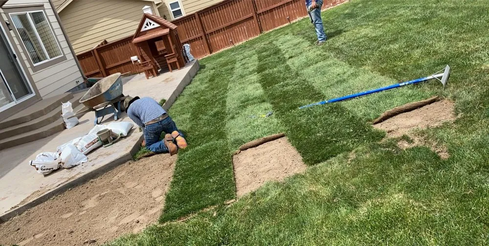 Affordable landscaping services in Denver, CO by Lopez Landscape & Concrete