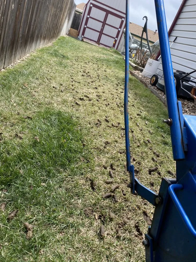 Expert lawn mowing service for homes in Denver, CO by Lopez Landscape & Concrete