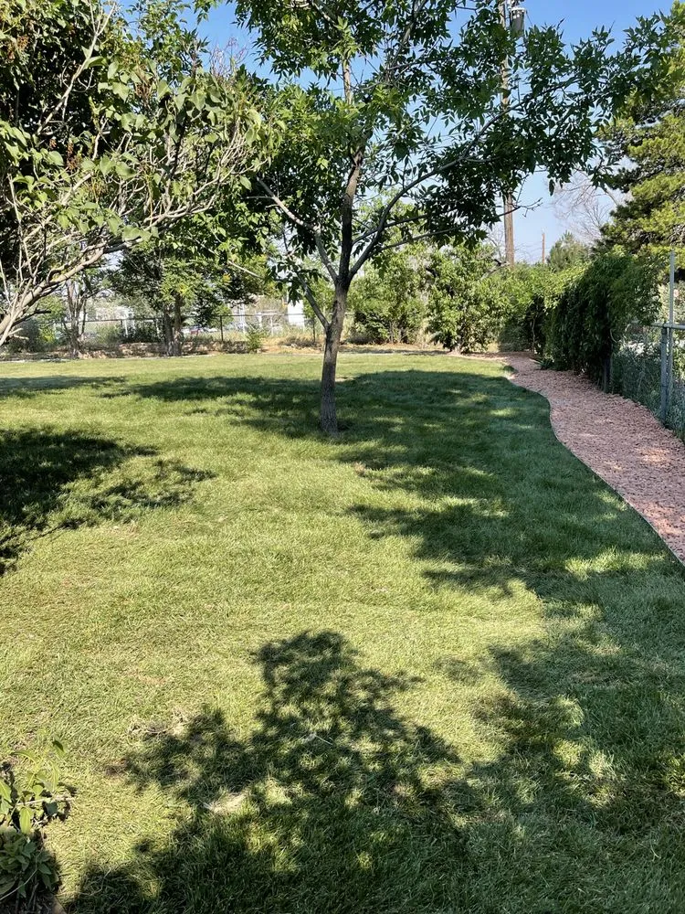 Local landscape installation in Denver, CO by Lopez Landscape & Concrete