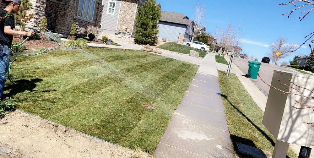 Reliable lawn mowing service in Denver, CO by Lopez Landscape & Concrete