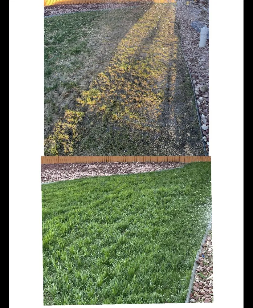 Trusted outdoor landscaping in Denver, CO - Lopez Landscape & Concrete