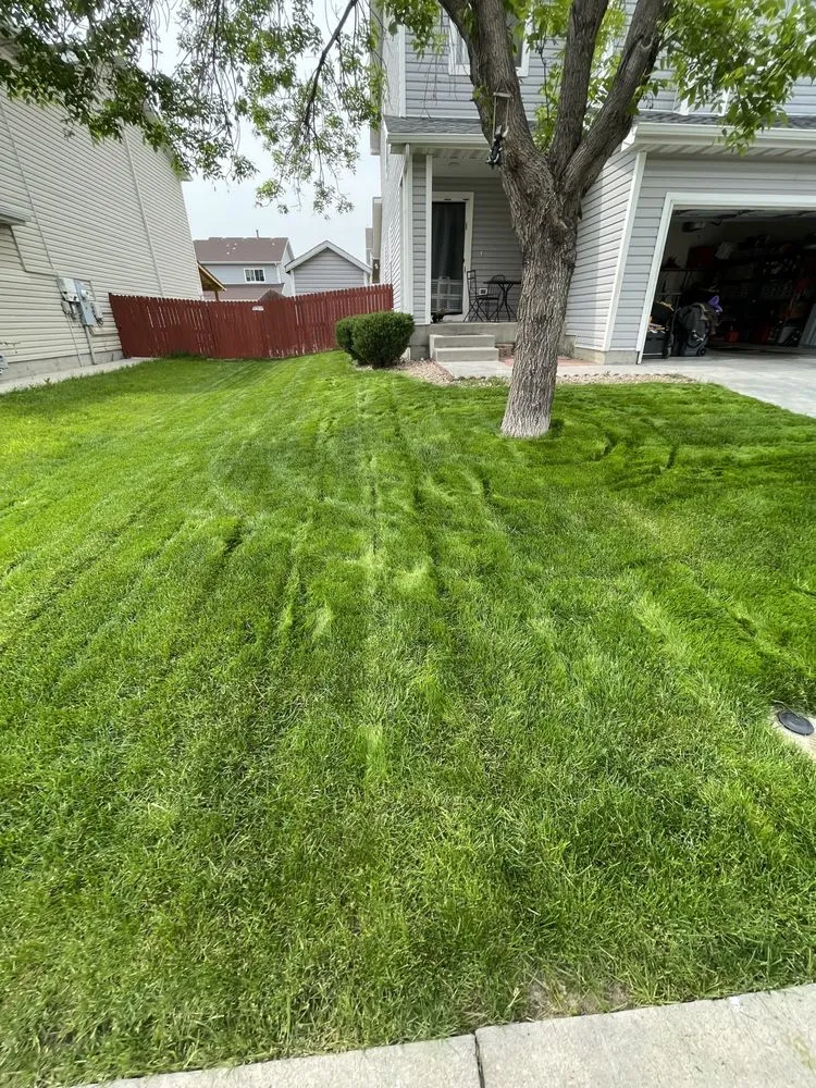 Top-rated landscaping services near you in Thornton, CO by Lopez Landscape & Concrete