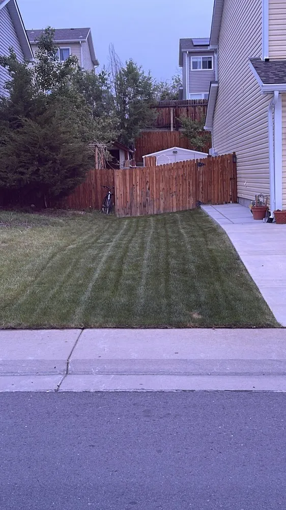 Local yard cleanup service experts serving Thornton, CO - Lopez Landscape & Concrete
