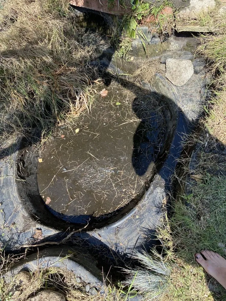 Reliable yard cleanup service for homes in Garden Grove, CA by Lopez Landscape & Tree Care