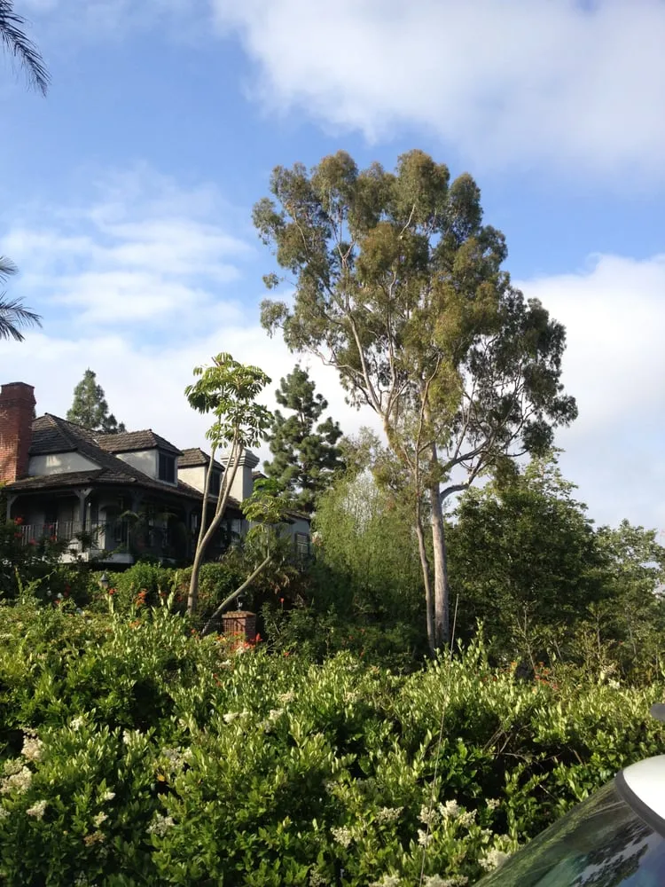 Reliable landscape design in Garden Grove, CA - Lopez Landscape & Tree Care
