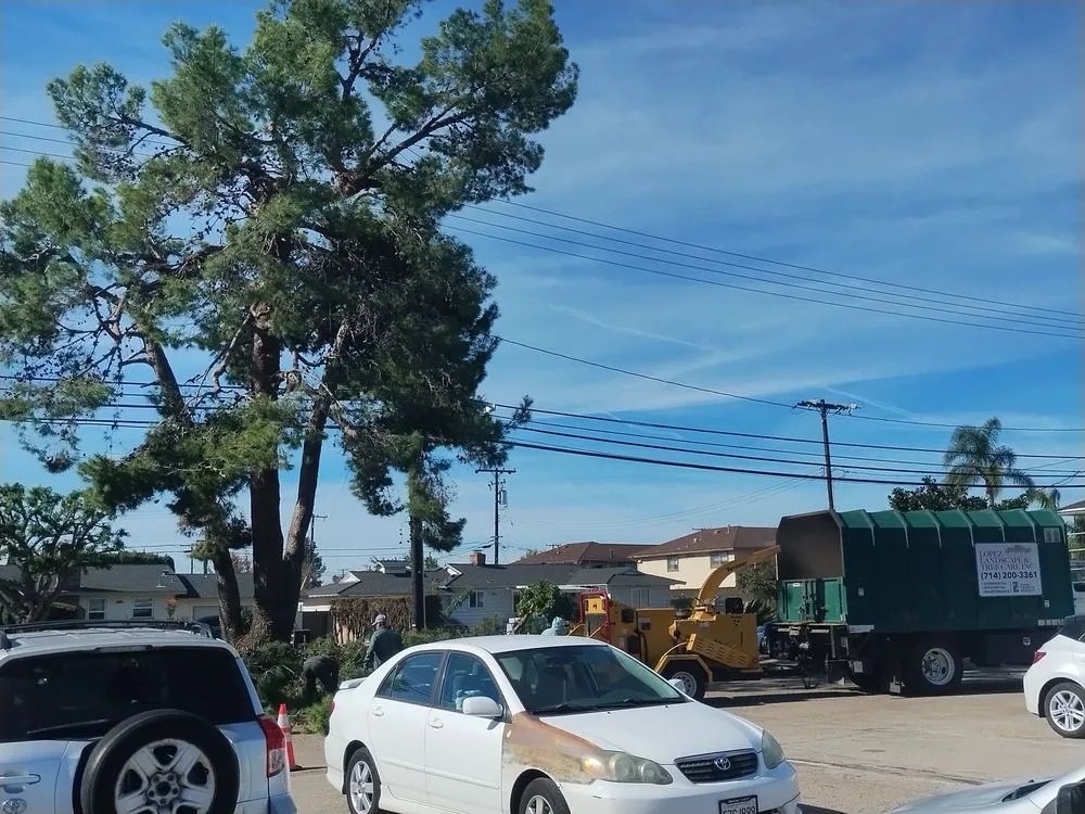 Professional landscape design for outdoor upgrades across Garden Grove, CA - Lopez Landscape & Tree Care