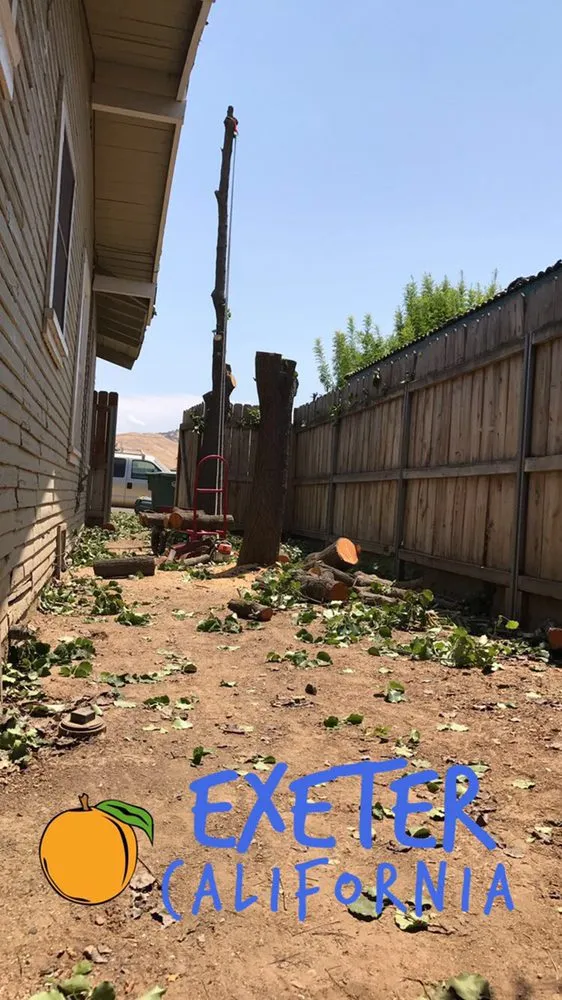 Expert outdoor landscaping for homes in Fresno, CA by Lopez Landscape & Tree Service