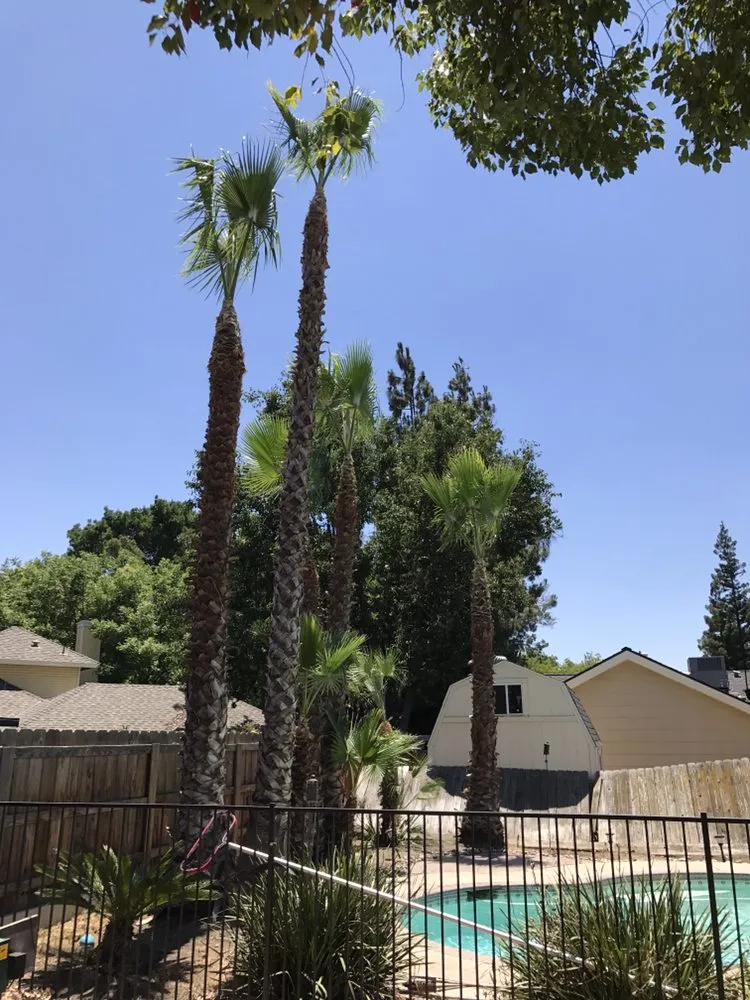 Top-rated yard cleanup service for homes across Fresno, CA - Lopez Landscape & Tree Service