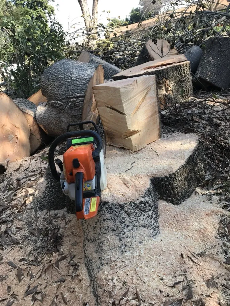 Reliable outdoor landscaping experts serving Fresno, CA - Lopez Landscape & Tree Service