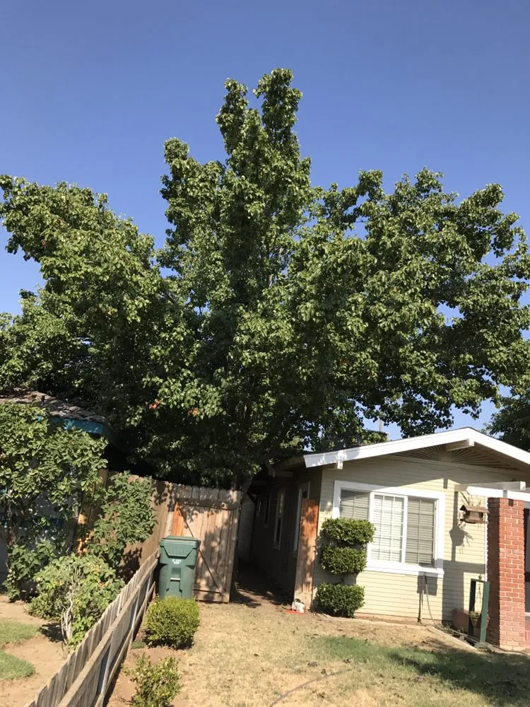 Reliable lawn mowing service for residential properties across Fresno, CA - Lopez Landscape & Tree Service