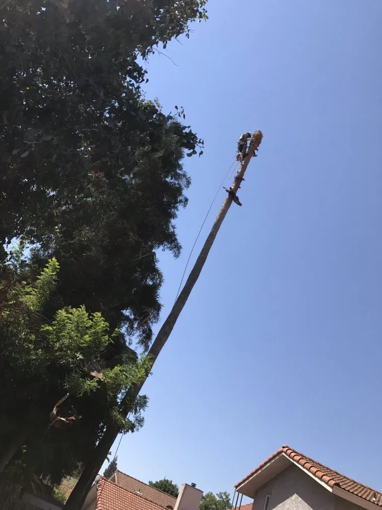 Top-rated garden landscaping experts serving Fresno, CA - Lopez Landscape & Tree Service