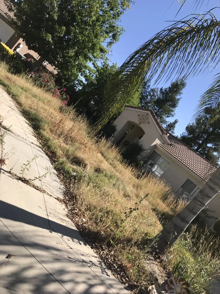 Trusted yard maintenance for homes in Fresno, CA by Lopez Landscape & Tree Service