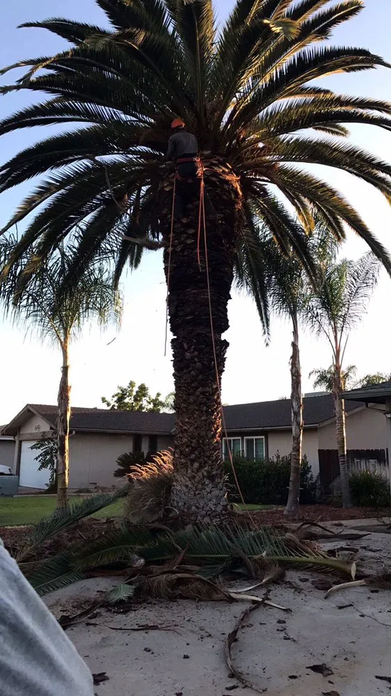 Local landscape installation for outdoor upgrades across Fresno, CA - Lopez Landscape & Tree Service