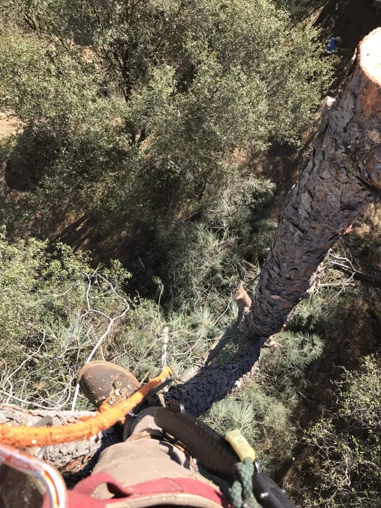 Custom yard maintenance for year-round maintenance across Fresno, CA - Lopez Landscape & Tree Service