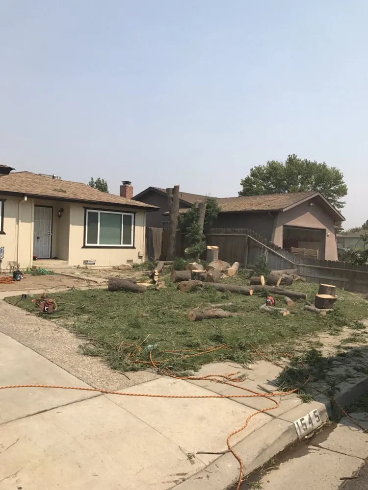 Top-rated landscape installation in Fresno, CA by Lopez Landscape & Tree Service