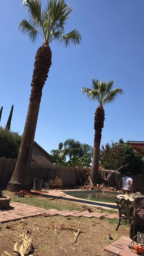 Affordable outdoor landscaping experts serving Fresno, CA - Lopez Landscape & Tree Service