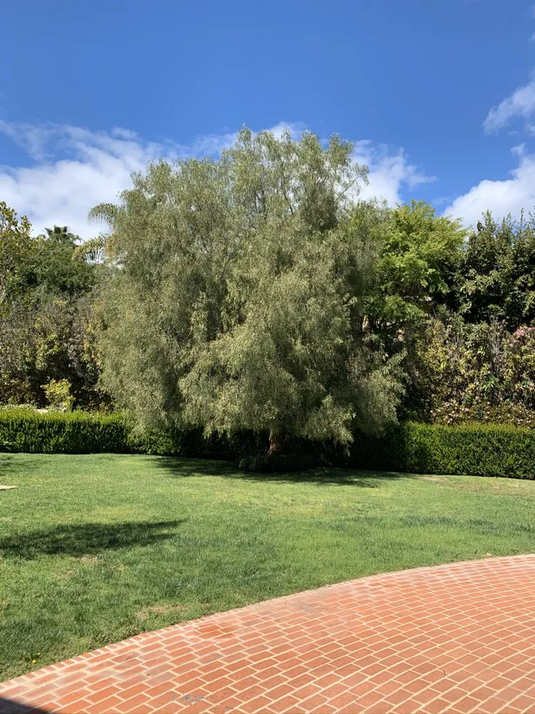 Top-rated lawn care service in Los Angeles, CA by Lopez Landscape & Tree Service