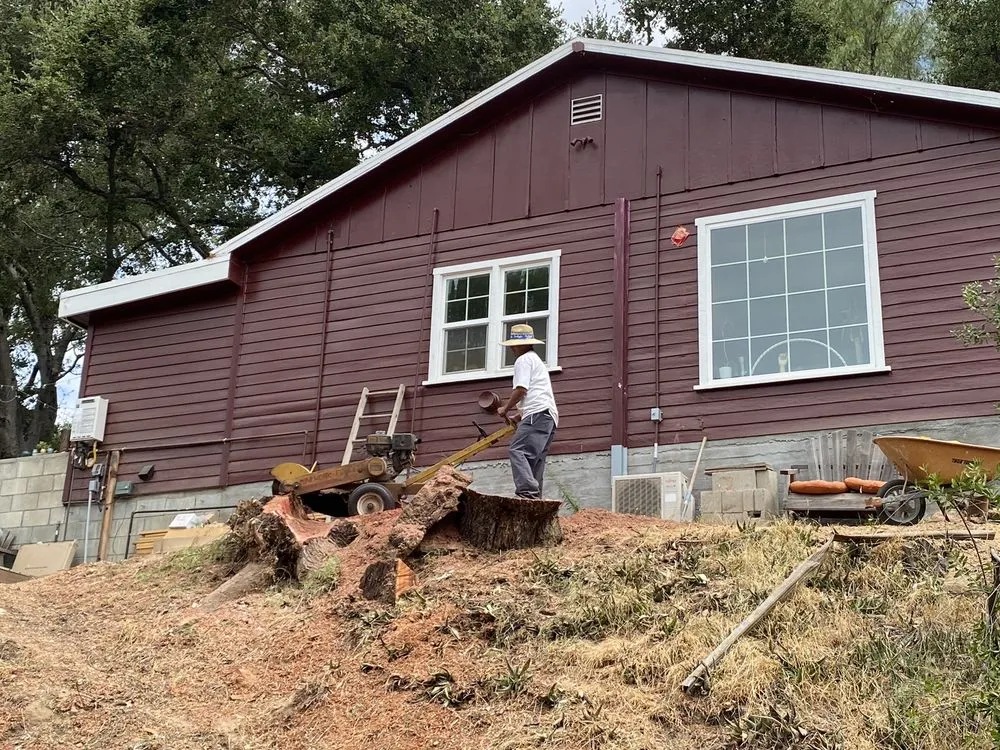 Custom yard cleanup service for beautiful yards across Los Angeles, CA - Lopez Landscape & Tree Service