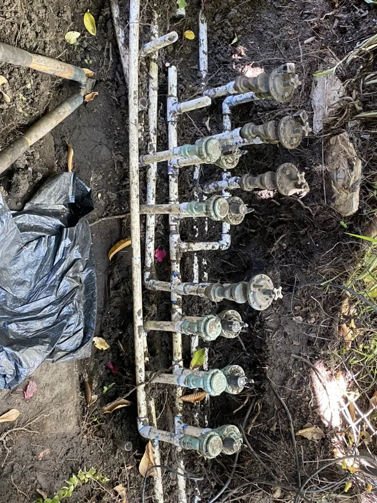 Custom yard cleanup service in Los Angeles, CA by Lopez Landscape & Tree Service