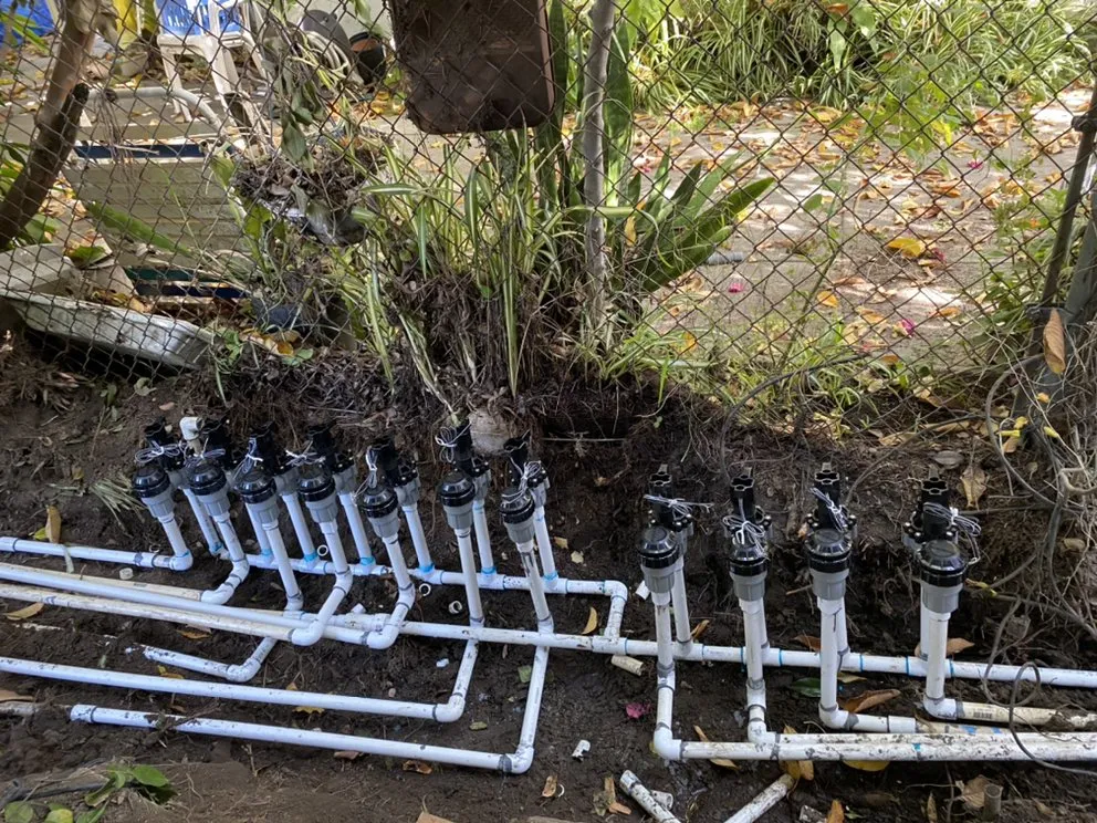 Professional garden landscaping experts serving Los Angeles, CA - Lopez Landscape & Tree Service