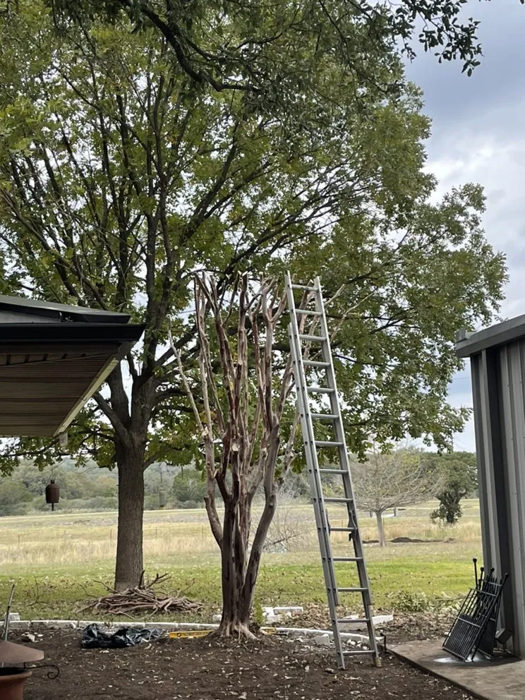 Trusted landscape design in Kingsland, TX by Lopez Landscape & Tree Trimming