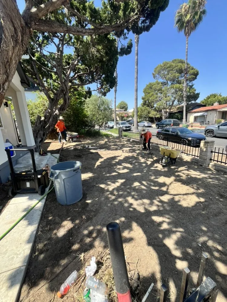 Affordable lawn care service experts serving Glendale, CA - Lopez Landscape and Tree Service