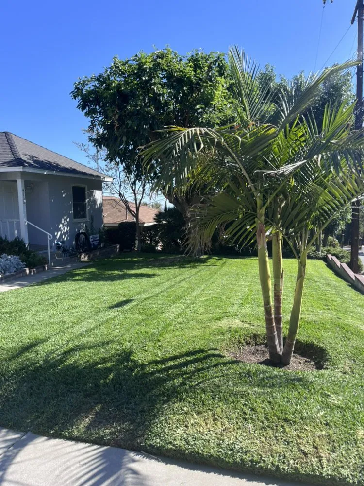 Local landscape design for homes across Glendale, CA - Lopez Landscape and Tree Service